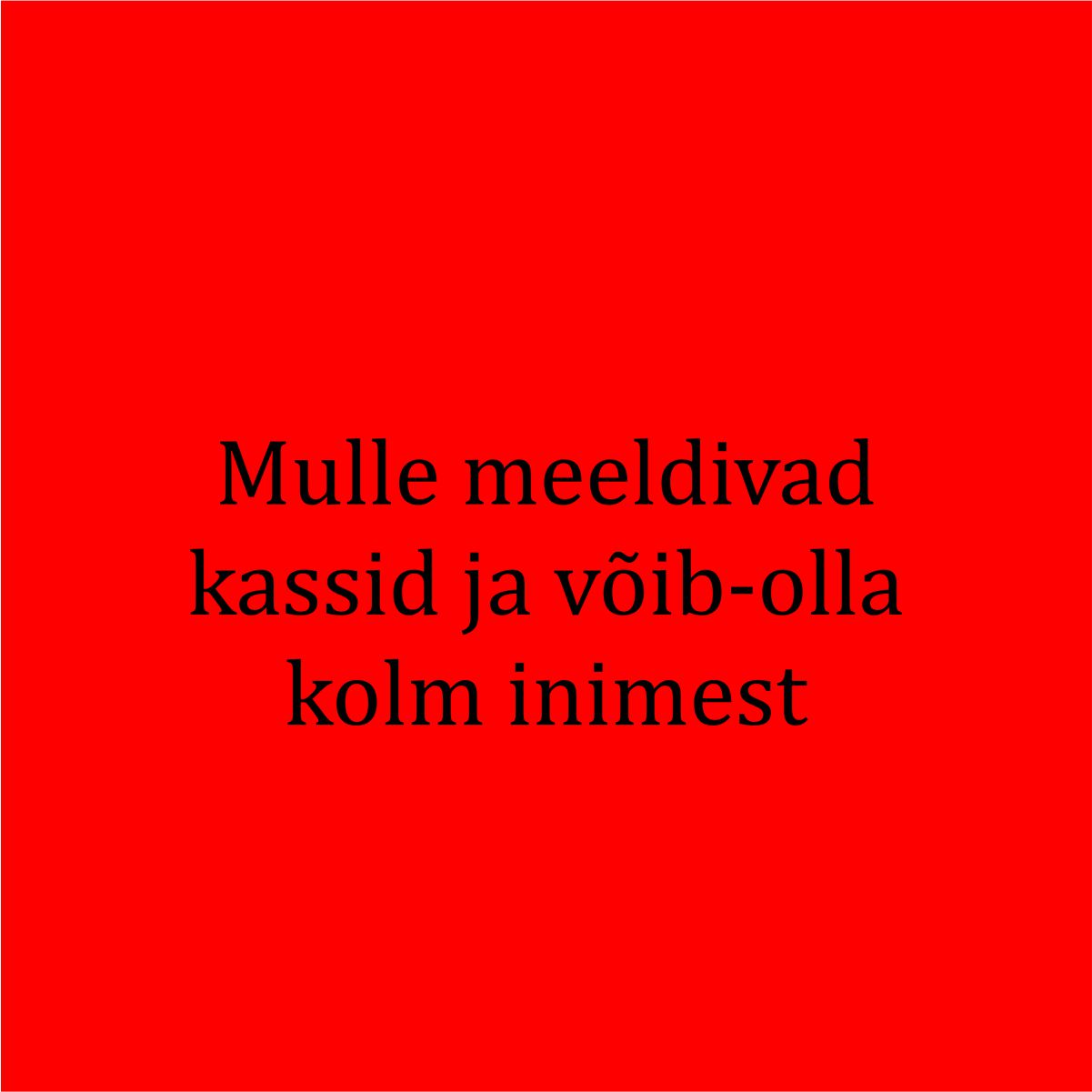 Punane UNISEX dressipluus ilma kapuutsita "Mulle meeldivad kassid ja võib-olla kolm inimest"